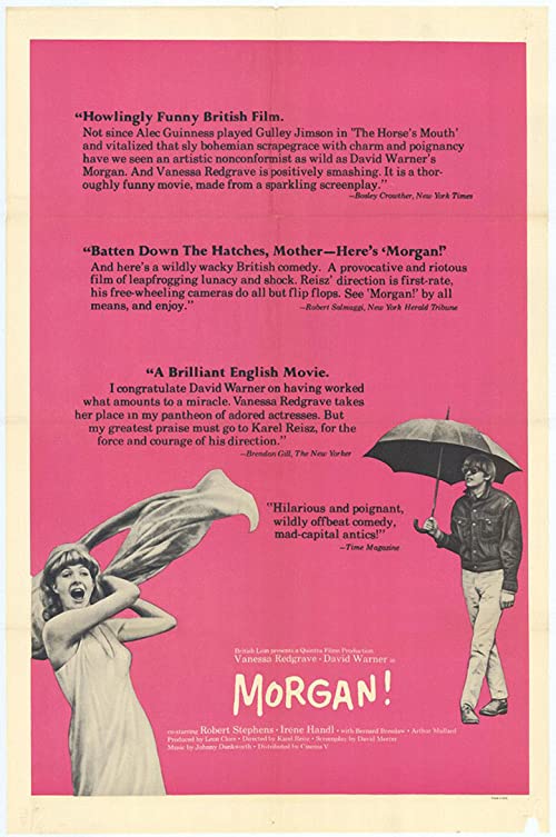 Morgan.A.Suitable.Case.For.Treatment.1966.1080p.BluRay.x264-RedBlade – 17.0 GB
