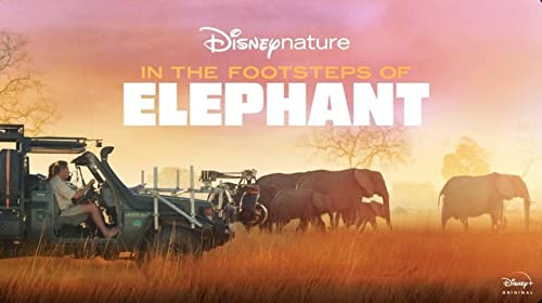 In.the.Footsteps.of.Elephant.2020.720p.DSNP.WEB-DL.DDP5.1.H.264-ETHiCS – 2.7 GB