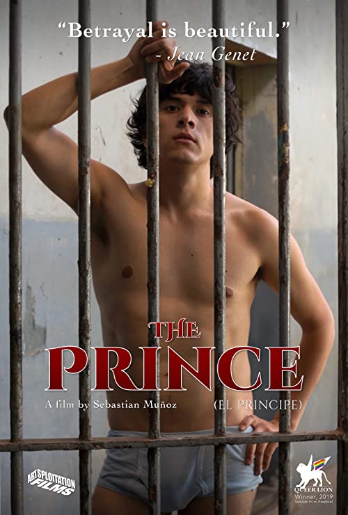 The.Prince.2019.BluRay.1080p.DDA5.1.x264-CHD – 7.6 GB