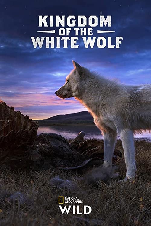 Kingdom.of.the.White.Wolf.S01.1080p.AMZN.WEB-DL-TOMMY – 12.3 GB