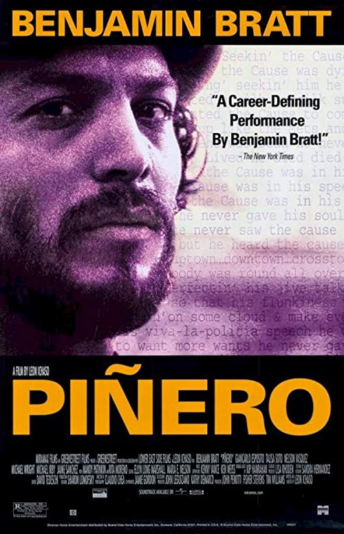 Pinero.2001.1080p.AMZN.WEB-DL.DD+2.0.H.264-alfaHD – 6.5 GB