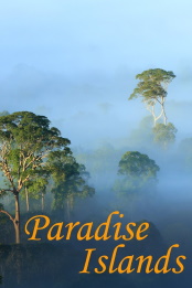 Paradise.Islands.S01.720p.DSNP.WEB-DL.DDP5.1.H.264-SPiRiT – 4.2 GB