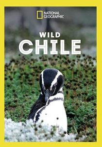 Wild.Chile.S01.1080p.DSNP.WEB-DL.DDP5.1.H.264-pawel2006 – 8.1 GB