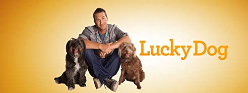 Lucky.Dog.S03.1080p.AMZN.WEB-DL.DDP2.0.H.264-alfaHD – 36.5 GB