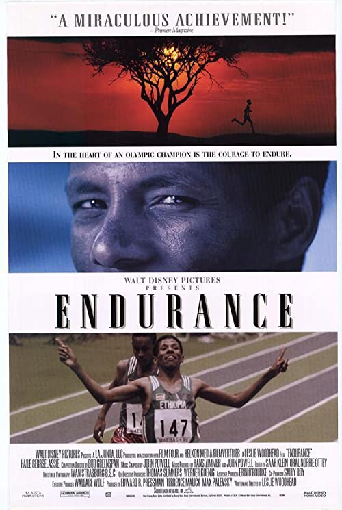 Endurance.1999.1080p.AMZN.WEB-DL.DD+2.0.x264-Cinefeel – 7.6 GB