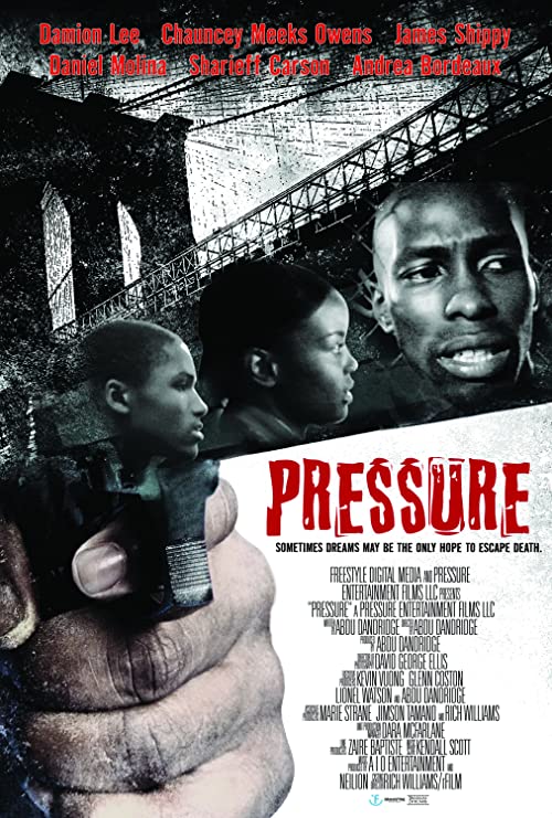 Pressure.2020.1080p.WEB-DL.H264.AC3-EVO – 3.7 GB