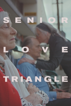 Senior.Love.Triangle.2019.1080p.WEB-DL.H264.AC3-EVO – 3.5 GB