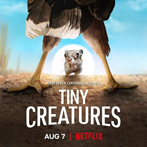 Tiny.Creatures.S01.1080p.NF.WEB-DL.DDP5.1.x264-ExREN – 10.4 GB