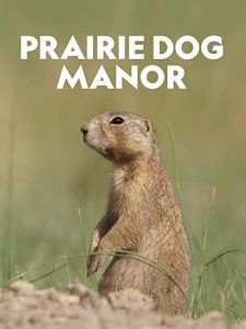 Prairie.Dog.Manor.S01.1080p.DSNP.WEB-DL.DDP5.1.H.264-pawel2006 – 16.2 GB