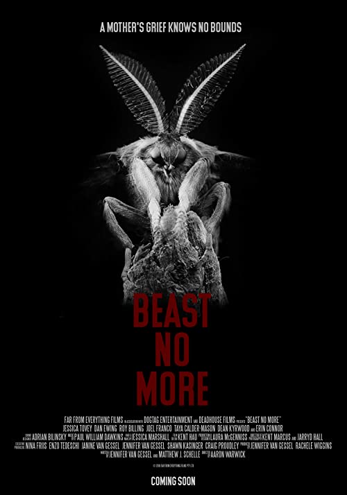 Beast.No.More.2019.1080p.WEB-DL.H264.AC3-EVO – 2.9 GB