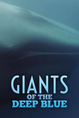 Giants.of.the.Deep.Blue.2017.720p.DSNP.WEB-DL.DDP5.1.H.264-SPiRiT – 1.4 GB