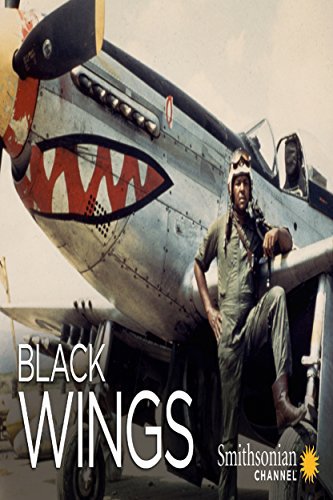 Black.Wings.2011.1080p.WEB.H264-KOMPOST – 1.6 GB