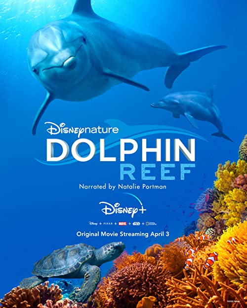 Dolphin.Reef.2018.720p.DSNP.WEB-DL.DDP5.1.H.264-NTb – 2.4 GB