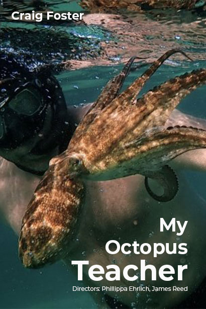 My.Octopus.Teacher.2020.1080p.NF.WEB-DL.DDP5.1.H.264-pawel2006 – 4.6 GB