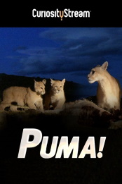 Puma.2015.1080p.WEB-DL.AAC.2.0.H.264-WiLDCAT – 2.2 GB