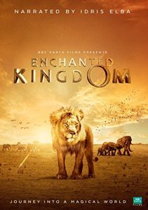 Enchanted.Kingdom.2013.1080p.BluRay.DD5.1.x264-VietHD – 12.7 GB