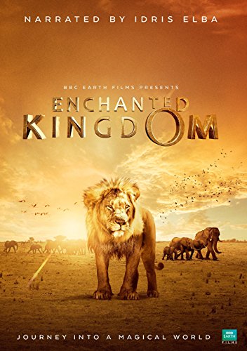 Enchanted.Kingdom.2013.1080p.BluRay.DD5.1.x264-VietHD – 12.7 GB