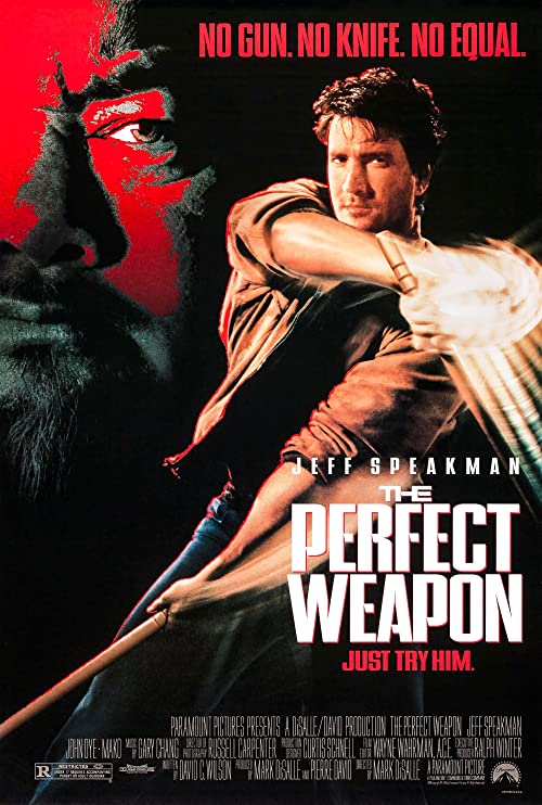 The.Perfect.Weapon.1991.REPACK.1080p.AMZN.WEB-DL.DDP2.0.H.264-NTG – 8.4 GB
