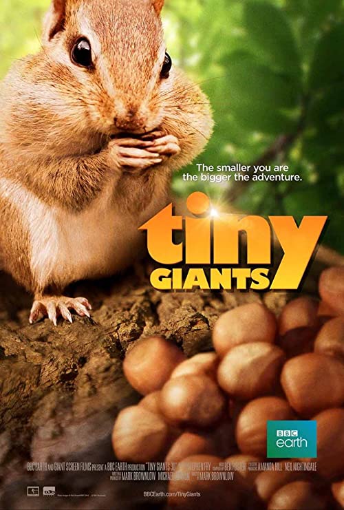 Tiny.Giants.2014.1080p.BluRay.DTS.x264-WMD – 4.4 GB