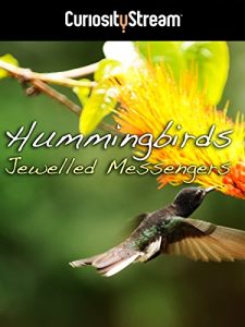 Hummingbirds.Jewelled.Messengers.2012.1080p.AMZN.WEB-DL.DDP2.0.H.264-KAIZEN – 4.5 GB