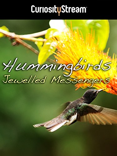 Hummingbirds: Jewelled Messengers