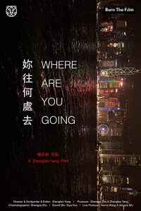 Where.Are.You.Going.2016.720p.BluRay.x264.AAC.2.0-EDPH – 6.1 GB