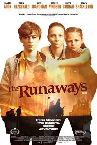 The.Runaways.2020.1080p.WEB-DL.DD5.1.H.264-EVO – 3.9 GB