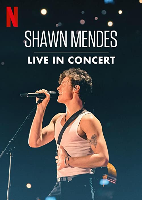 Shawn.Mendes.Live.in.Concert.2020.1080p.NF.WEB-DL.DDP5.1.Atmos.x264-PTP – 4.0 GB