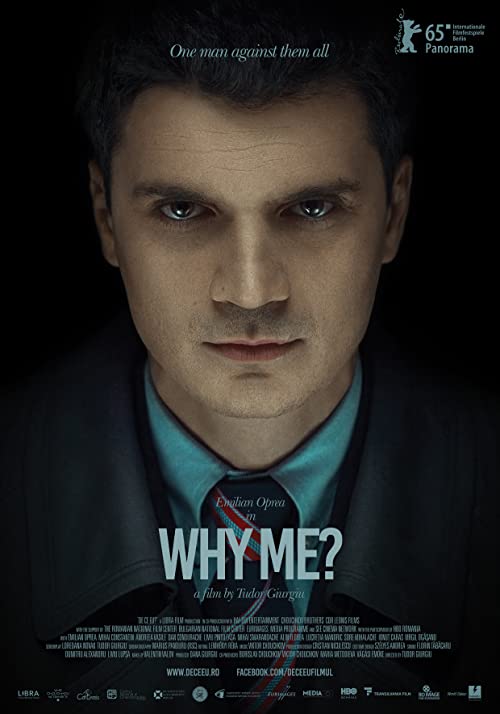 Why.Me.2015.1080p.NF.WEB-DL.DDP5.1.x264-TEPES – 3.7 GB
