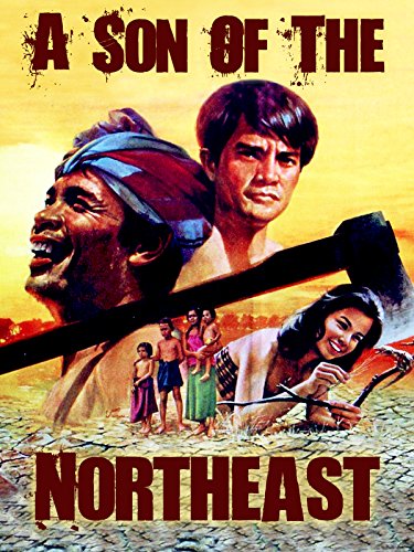 A.Son.of.the.Northeast.1982.1080p.WEB-DL.DD2.0.H.264-SbR – 13.0 GB