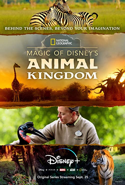 Magic.of.Disneys.Animal.Kingdom.S01.720p.DSNP.WEB-DL.DDP5.1.H.264-NTb – 9.2 GB