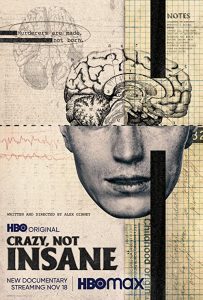 Crazy.Not.Insane.2020.1080p.AMZN.WEB-DL.DDP.5.1.H.264-hdalx – 8.0 GB