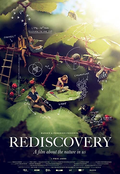 Rediscovery.2019.1080p.WEB-DL.H.264-ROCCaT – 5.1 GB