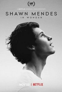 Shawn.Mendes.In.Wonder.2020.720p.NF.WEB-DL.DDP5.1.Atmos.H.264-NTb – 2.1 GB