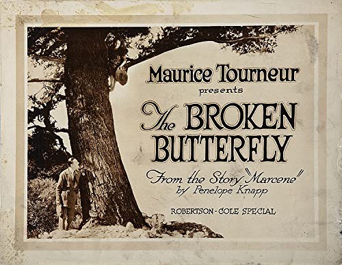 The.Broken.Butterfly.1919.1080p.WEB-DL.AAC2.0.H.264-SbR – 2.3 GB