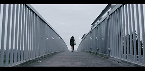 Transference.A.Love.Story.2020.1080p.WEB-DL.DD5.1.H.264-EVO – 3.7 GB