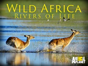 Wild.Africa.Rivers.of.Life.S01.1080p.WEB-DL.DD+2.0.H.264-hdalx – 23.1 GB