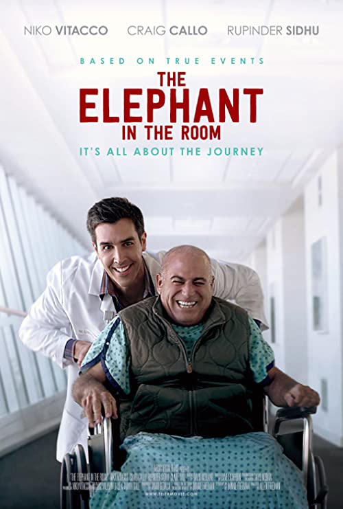 The.Elephant.in.the.Room.2020.1080p.AMZN.WEB-DL.DDP5.1.H.264-ISA – 4.7 GB