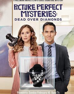 Picture.Perfect.Mysteries.Dead.Over.Diamonds.2020.720p.AMZN.WEB-DL.DDP5.1.H.264-ABM – 2.8 GB