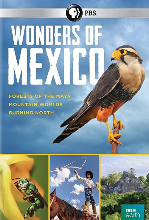 Wonders.of.Mexico.S01.720p.AMZN.WEB-DL.DDP2.0.H.264-NTb – 6.0 GB