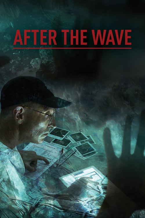 After.the.Wave.2014.720p.AMZN.WEB-DL.DDP2.0.H.264-TEPES – 2.6 GB