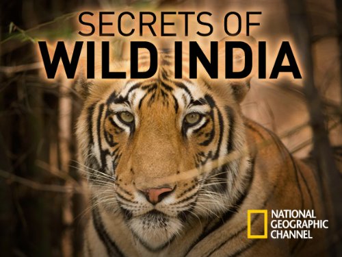Secrets of Wild India