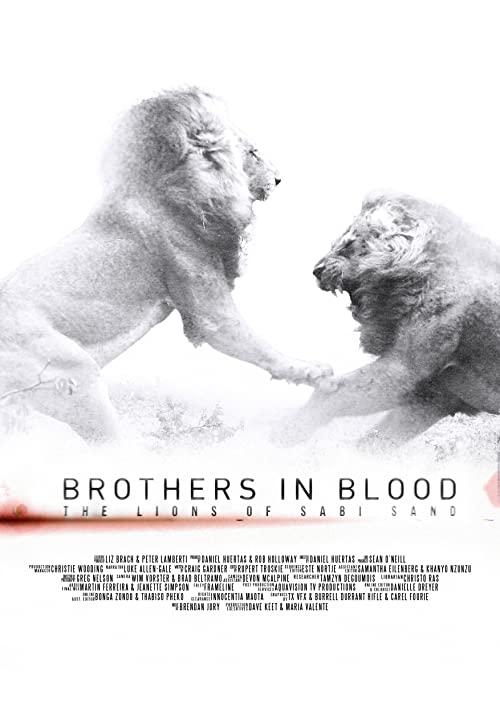 Brothers.in.Blood.The.Lions.of.Sabi.Sand.2015.1080p.AMZN.WEB-DL.DD+2.0.x264-Cinefeel – 7.9 GB