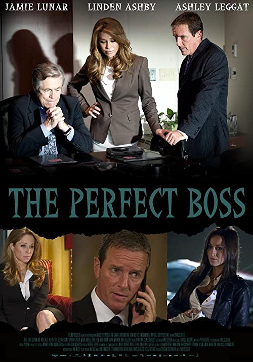 The.Perfect.Boss.2013.1080p.AMZN.WEB-DL.DDP2.0.x264-ABM – 6.5 GB