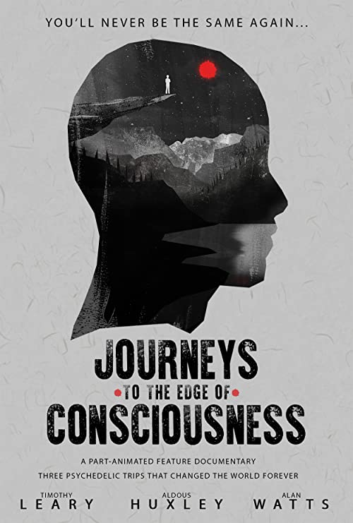 Journeys.to.the.Edge.of.Consciousness.2019.720p.WEB.x264.Dr3adLoX – 601.6 MB