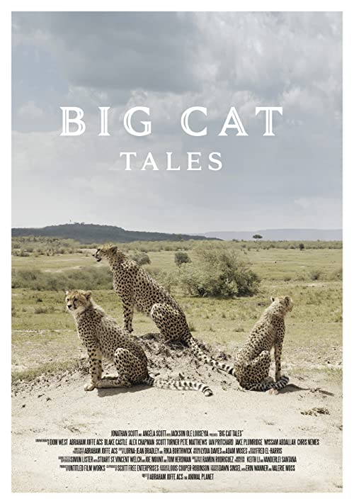 Big.Cat.Tales.S01.1080p.AMZN.WEB-DL.DDP2.0.H.264-NTb – 14.2 GB