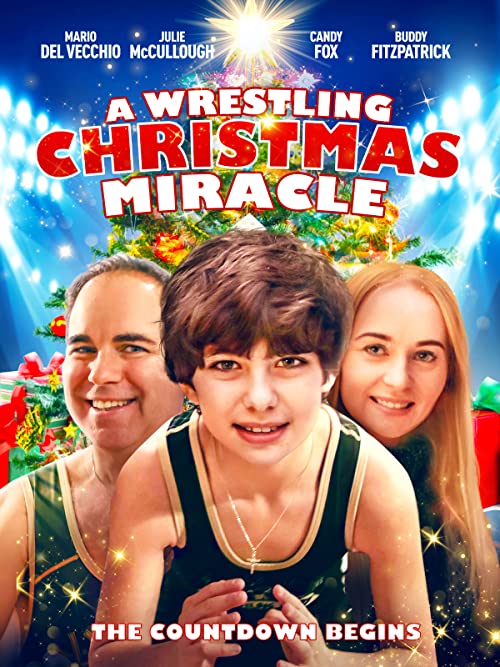 A.Wrestling.Christmas.Miracle.2020.1080p.AMZN.WEB-DL.DD+2.0.H.264-iKA – 4.2 GB