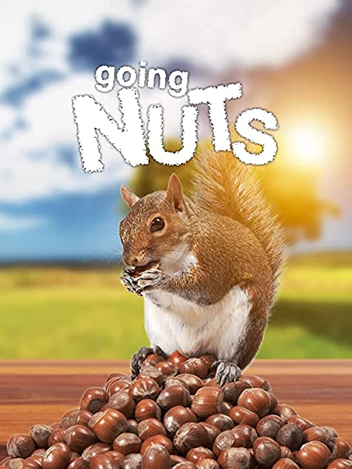 Going.Nuts.2019.1080p.AMZN.WEB-DL.DDP2.0.H.264-forFun – 3.7 GB