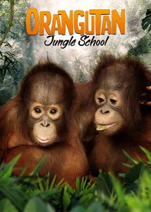 Orangutan.Jungle.School.S02.2160p.WEB-DL.AAC5.1.H.265-PETRiFiED – 53.3 GB