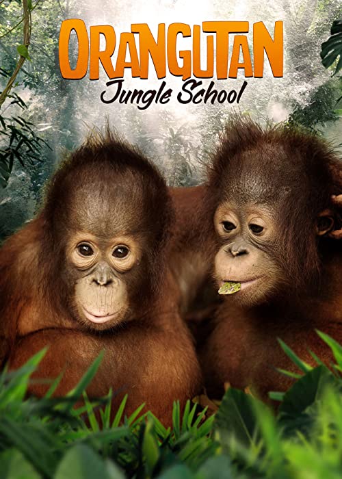 Orangutan.Jungle.School.S02.2160p.WEB-DL.AAC5.1.H.265-PETRiFiED – 53.3 GB